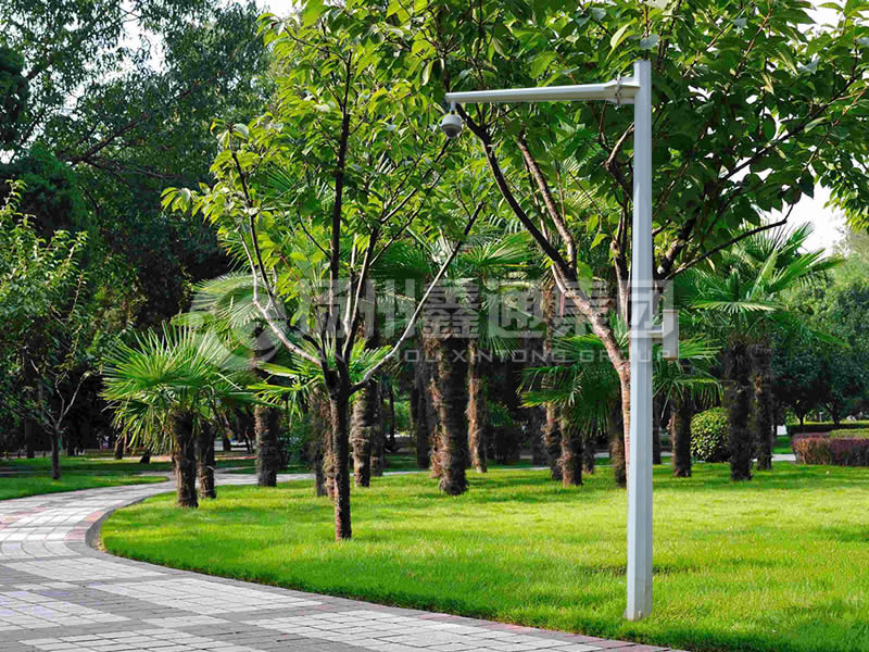 DJG-022，電子警察桿，八棱懸臂球機桿